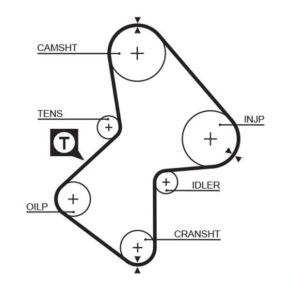 Correia do mecanismo de distribuição de gás, kit para Renault 11 (BC37)