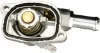 Termostato Fiat 500 312