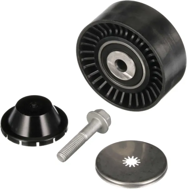 Rolo parasita da correia de transmissão 532060010 LUK