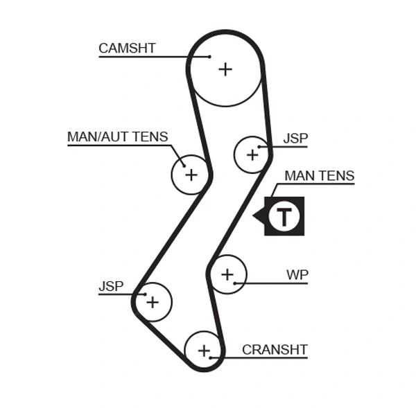 Correia do mecanismo de distribuição de gás, kit para Ford Escort (ALL)