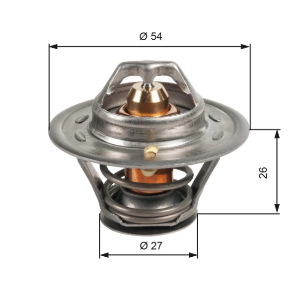 Termostato para Iveco Daily 