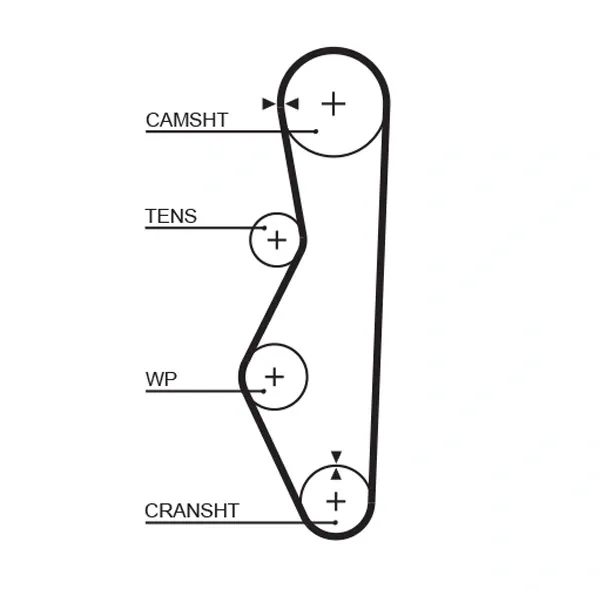Correia do mecanismo de distribuição de gás 5521XS Gates