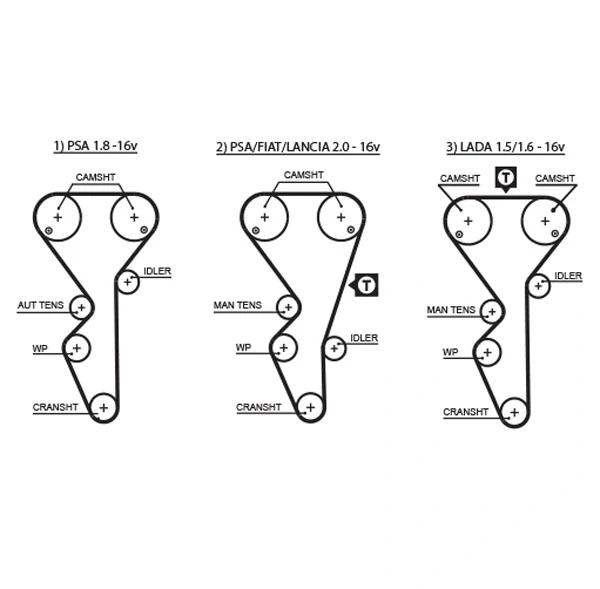 Correia do mecanismo de distribuição de gás, kit para Peugeot 605 (6B)