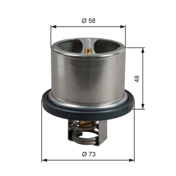 Termostato para Iveco Stralis 