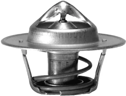 Termostato Renault 21 S48
