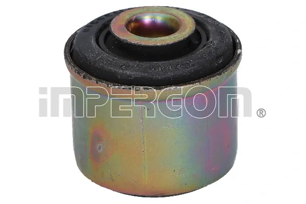  Bloco silencioso dianteiro do braço oscilante inferior Renault Scenic 1