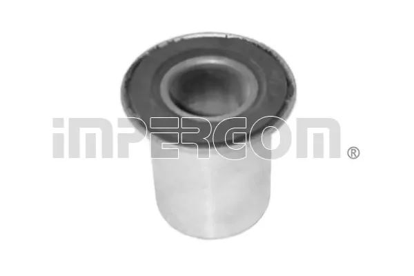 Bloco silencioso dianteiro do braço oscilante inferior 6006000975 Renault (RVI)