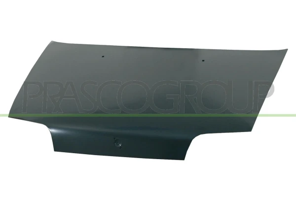 Capota para Fiat Punto (176)