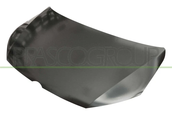 VG7193100 Prasco