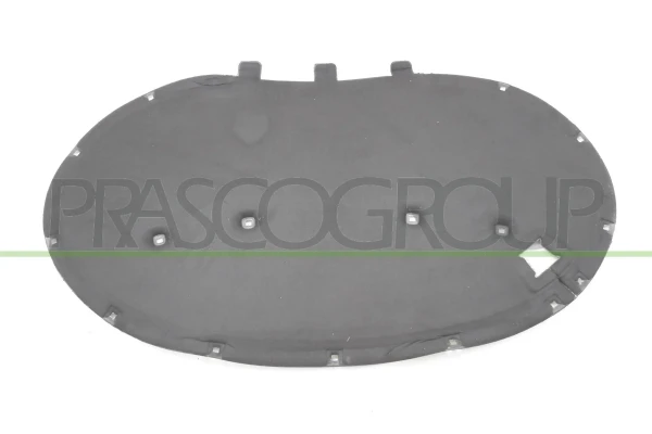 VG0551945 Prasco