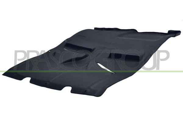Proteção de motor, de panela (da seção de motor) para Citroen Jumper (250)