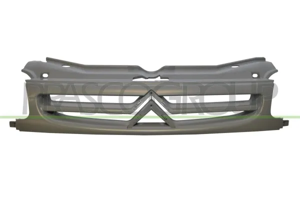 Grelha do radiador Citroen Berlingo M