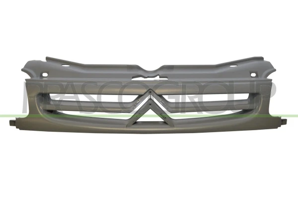 Grelha do radiador para Citroen Berlingo (M)