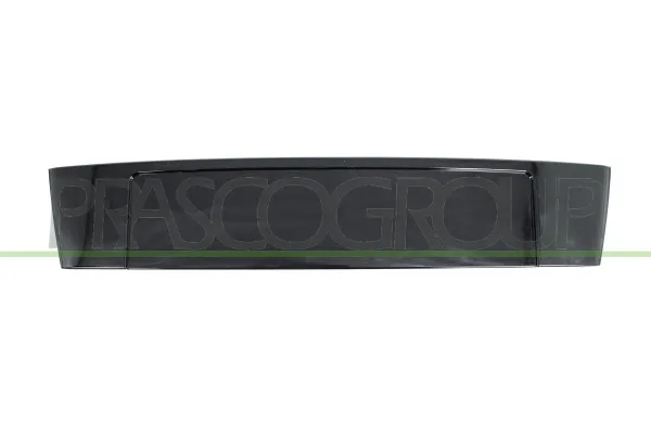 Painel de fixação de matrícula dianteira 4L0807285AT94 VAG