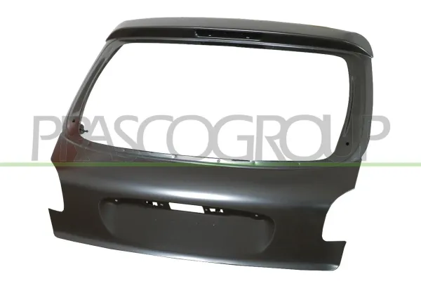 Porta traseira (3ª/5ª porta-malas (tampa de alcapão) para Peugeot 206  2A/C
