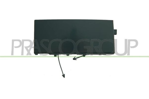 BM0421246 Prasco
