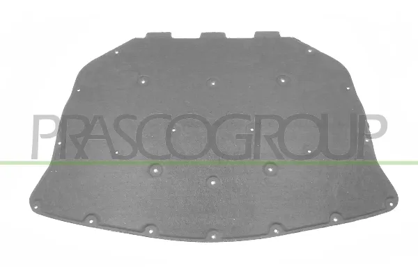 Isolamento de ruído da capota BMW 5 F10