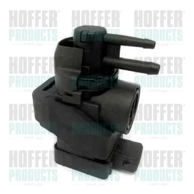Válvula solenoide de regulação de comporta EGR 8029227 Hoffer