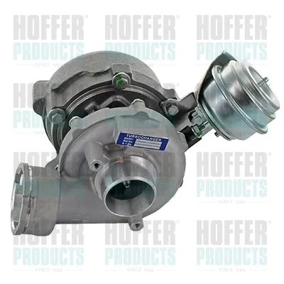 Turbina 6900005 Hoffer
