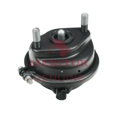 Câmara do freio (Acumulador de energia) 5001868565 Renault (RVI)