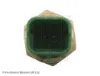 Sensor de temperatura do fluido de esfriamento Fiat 500 312