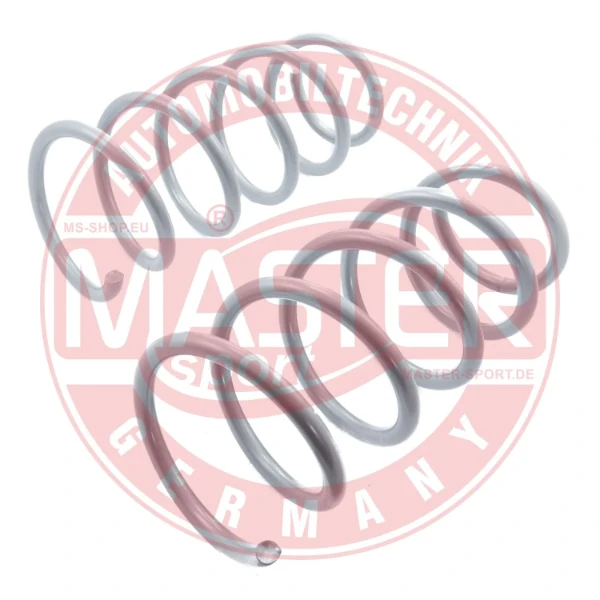 4017000SET2MS Master-sport mola traseira