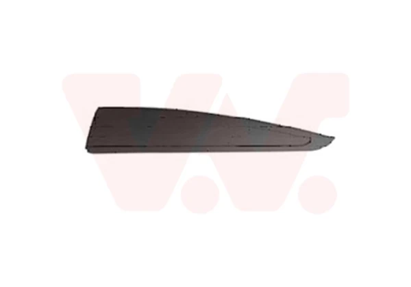 Moldura da porta traseira esquerda 4373425 VAN Wezel