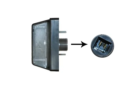 Lanterna da luz de fundo de matrícula traseira 1650940 VAN Wezel