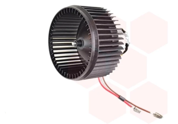0965773 VAN Wezel