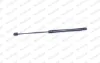 Amortecedor de tampa de porta-malas (de 3ª/5ª porta traseira) Ford Focus 2 DA, HCP, DP