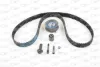 Correia do mecanismo de distribuição de gás, kit Audi A4 8D2