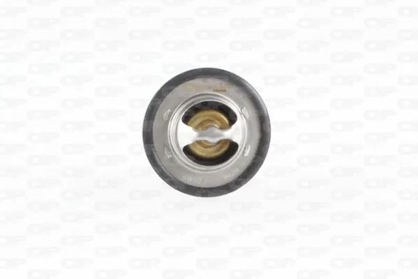 Termostato Renault Laguna 1 K56