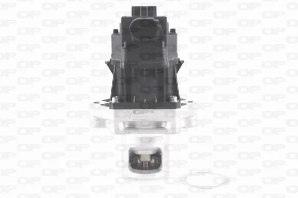Válvula EGR de recirculação dos gases EGR300100 Open Parts