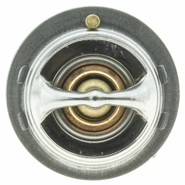 29484K Motorad