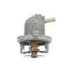 Termostato Mercedes ML/GLE W163