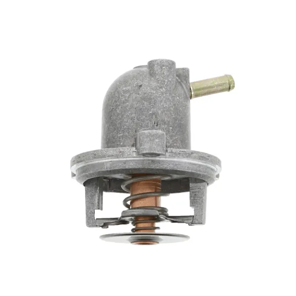 Termostato Mercedes ML/GLE W163