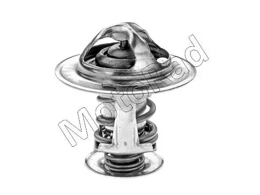 Termostato Nissan Sunny 3 Y10