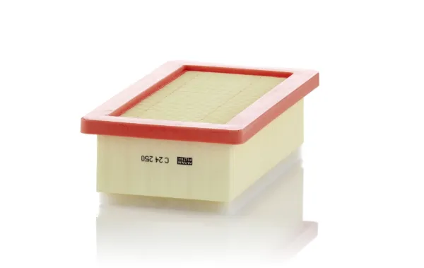 Filtro de ar C24250 Mann-Filter