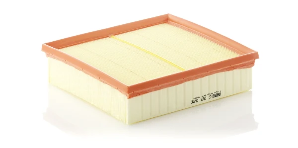 C22020 Mann-Filter