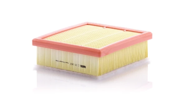 C21002 Mann-Filter