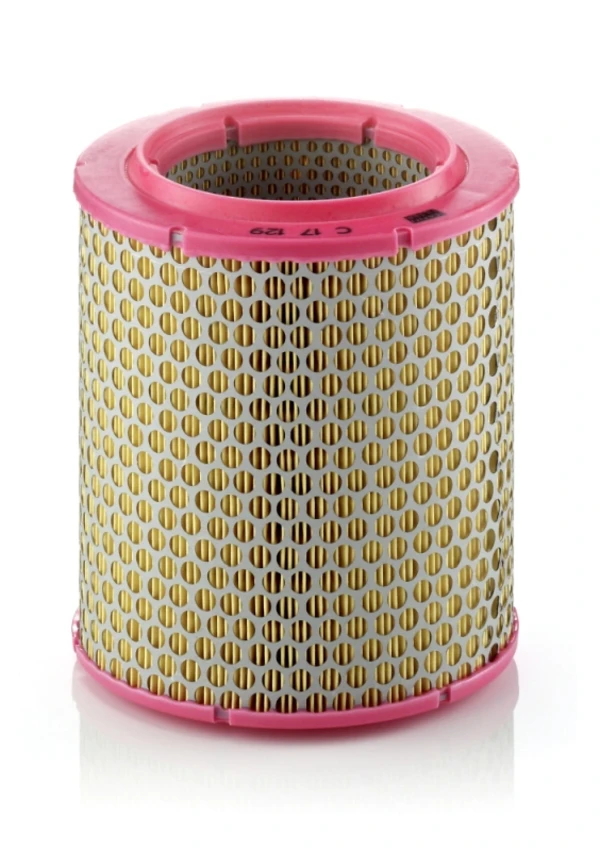 C17129 Mann-Filter