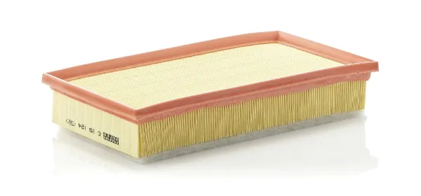 Filtro de ar C29124 Mann-Filter