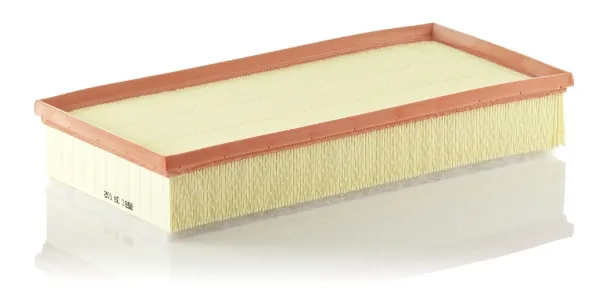 Filtro de ar C39002 Mann-Filter