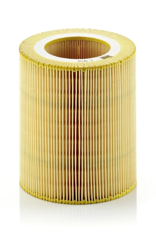 Filtro de ar C1250 Mann-Filter