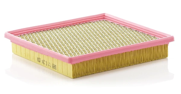 C24100 Mann-Filter