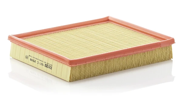 C2598 Mann-Filter