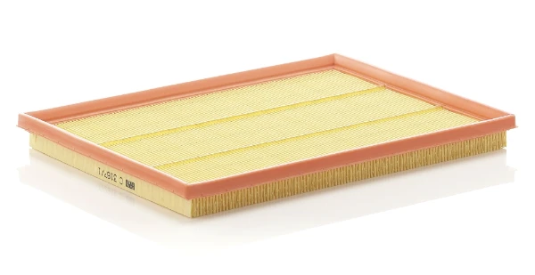 C31671 Mann-Filter