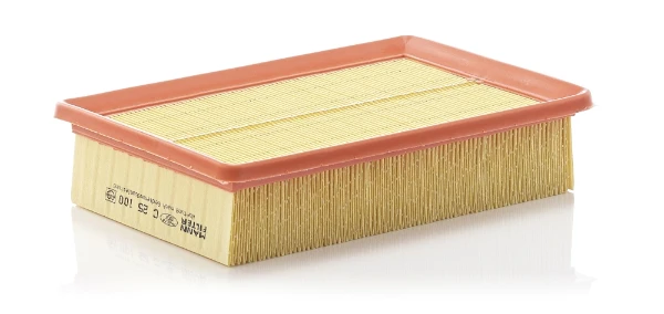 C25100 Mann-Filter