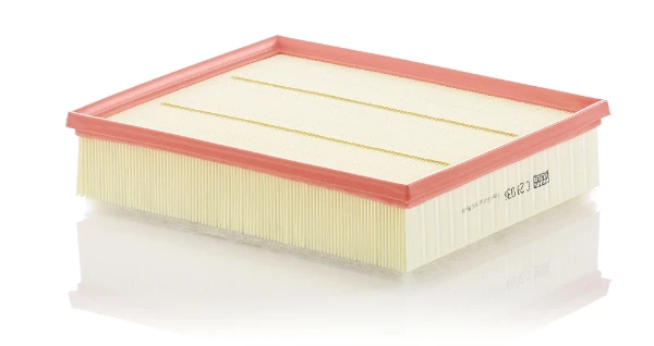 C29036 Mann-Filter