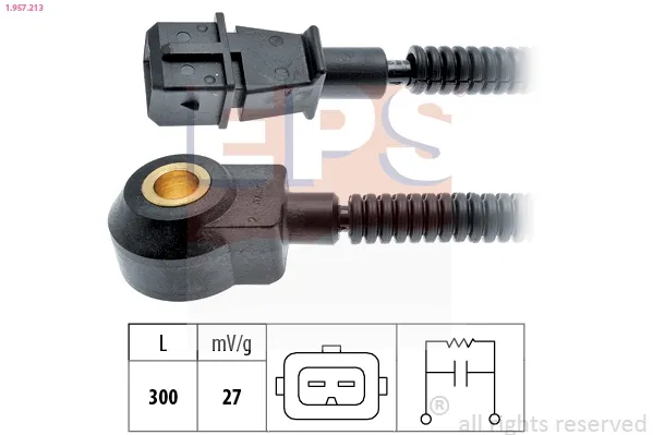 Sensor de detonação 1957213 EPS